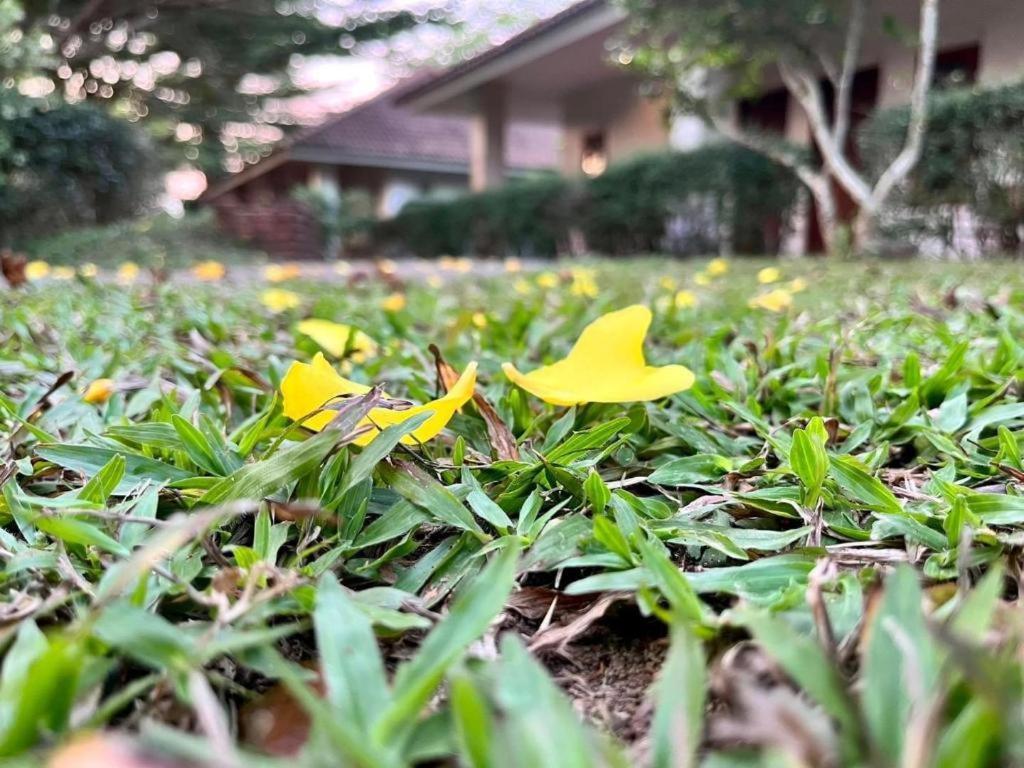 Baan Chuengkao Resort Ranong Esterno foto